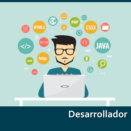 Desarrollador